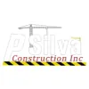 P Silva Construction