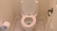 Toilet Repair