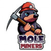 Mole Miners of Evansville