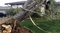 Storm Damage Cleanup
