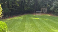 Garden and Lawn Care