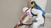 Mold Damage Restoration