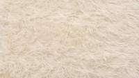 Area Rug Cleaning