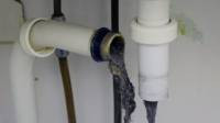 Sewer and Drain Services